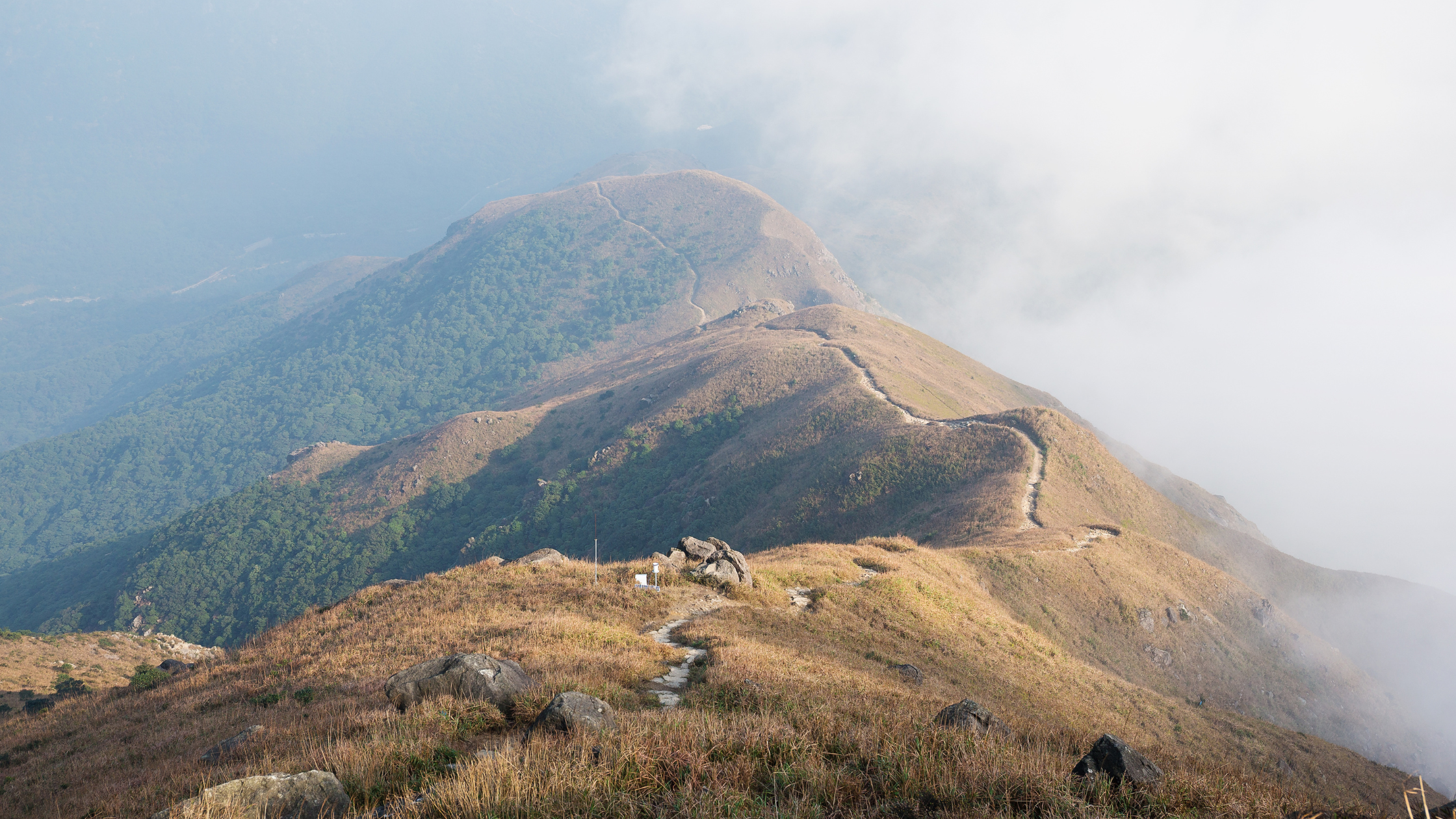 A winding mountain path disappears into fog, symbolizing the need for a steady and well-planned descent into retirement.